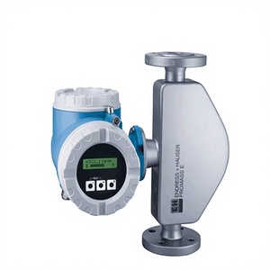 Medidor de Flujo Másico E+H de China Continental, Serie 80 de Endress+Hauser Importado, Modelo Huiwan XY4882, Nuevo, Envío Gratis, Calidad Importada - Product Image 1