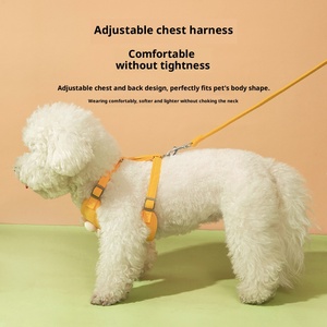 Arnés para mascotas con bordado de margaritas pequeñas, diseño de chaleco de encaje, cuerda de tracción para gatos y perros pequeños, para paseos al aire libre - Product Image 2