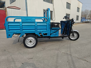 Triciclo elettrico del carico 600W ha motorizzato il <span class=keywords><strong>risciò</strong></span> con la tensione 60V - Product Image 6