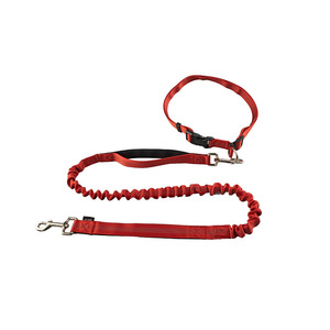 Correa elástica de nailon para perros para deportes al aire libre, cadena para perros, correa reflectante para caminar de noche. - Product Image 3