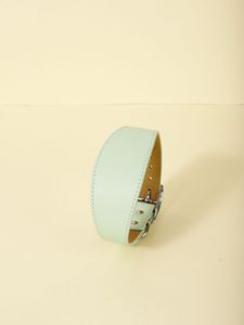 थोक अनुकूलित यात्रा लक्जरी आउटडोर चौड़ा कॉलर पु चमड़े पालतू कॉलर के लिए ग्रेहाउंड - Product Image 4