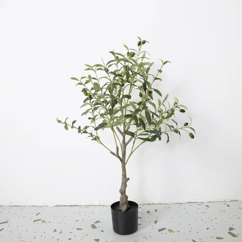 Simulazione di ulivo 90 cm