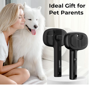 Accesorios para Mascotas al por Mayor de China, Cepillo de Vapor para Perros y Gatos, Autolimpiante, con Rociador de Agua, Elimina el Pelo Suelto - Product Image 5