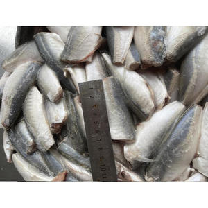 سمك الماكريل (السبيد) الكامل المجمد عالي الجودة للبيع، سمك لايانغ (السبيد) مجمد بحري - Product Image 2