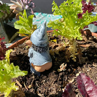 Prix du fabricant Statue naine coquine Gnome Maison Cour Jardin Ornement en résine Décor