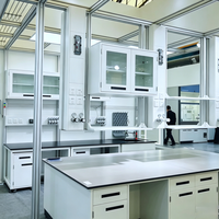 Table de travail de laboratoire clinique en résine époxy anti-corrosion avec armoire supérieure, mobilier de laboratoire