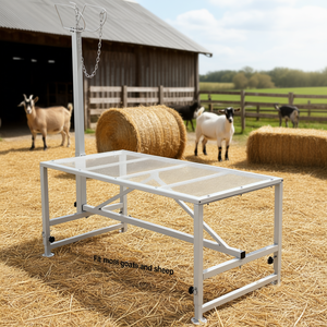 Soporte para Ovejas y Cabras de 51x23 Pulgadas, Metálico, Altura Ajustable, Equipo para Ordeño y Esquilado - Product Image 2