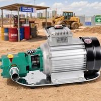 Pompe à huile à engrenages électrique WCB 75, 75 LPM, 0,75 KW, en acier au carbone, pour huile de transformateur, 2800 tr/min, 220V, prête à l'emploi