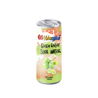 Solution de personnalisation de canettes en aluminium 330ml avec un grand professionnalisme