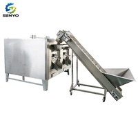 Machine de torréfaction automatique de noix pour le cacao, les haricots de café, les amandes, les arachides et les noix Machine de traitement pour la matière première de maïs