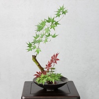 Kenzan 40mm Multi Spécification Floral Fleur Titulaire Grenouilles Ash Pin Grenouille Ikebana Outils