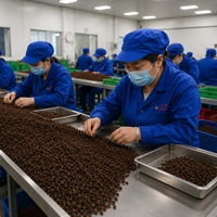 Clous de girofle entiers de qualité supérieure sélectionnés, origine Chine Guangxi, qualité alimentaire, matière première pour épices, emballage personnalisé OEM