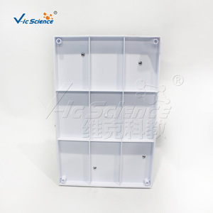 Modèle de cellule végétale VIC-B014 : Structure anatomique grossie des cellules et des tissus pour l'enseignement biologique - Product Image 4
