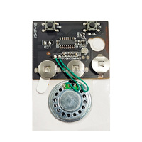 Carte d'enregistrement sonore photosensible 30 secondes Module de musique programmable pour carte de voeux DIY
