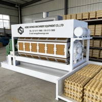 Ligne de production de barquettes à œufs en carton recyclé, machine de moulage de pâte à papier, machine de formage multicouche pour la fabrication de boîtes à œufs