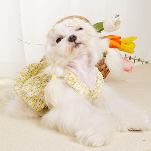 Vestido de verano con estampado Floral de calabaza y perro, diseño de encaje, medio círculo, novedad de <span class=keywords><strong>2022</strong></span> - Product Image 4
