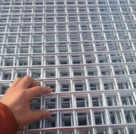 6 Gauge Welded Wire Mesh Panel For Fence 1*2M Welded Wire Mesh Panels