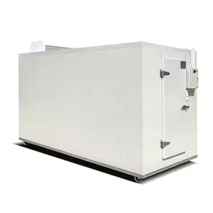 Nhà Máy Giá Công Nghiệp Đi Bộ Trong Tủ Đông Năng Lượng Mặt Trời Lạnh Lưu Trữ Container Tủ Lạnh Phòng Lạnh