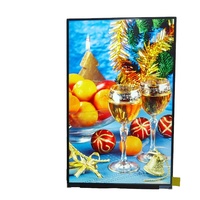 Layar LCD TFT IPS 10,1 Inci dengan Resolusi 800*1280 Modul Vertikal MIPI untuk Tablet Lenovo TV101WXM-NLB Panel