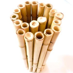 Vallas de Bambú Amarillo Natural de 40 cm, Decoración <span class=keywords><strong>para</strong></span> Jardines Pequeños, Vallas <span class=keywords><strong>para</strong></span> Bares, Hoteles, Patios, Valla de Bambú, Pared - Product Image 4