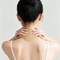 Patch anti-douleur rapide pour les vertèbres cervicales, service OEM, patch anti-douleur musculaire du cou à l'armoise, patch transdermique naturel à base de plantes