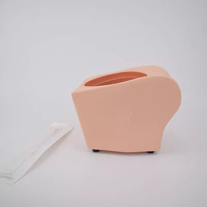 Modello Avanzato per Pratica di Contraccezione Femminile - Product Image 2