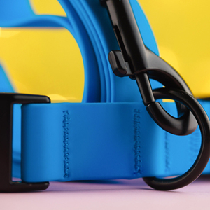 Juego de collar y correa impermeables de PVC de silicona para cachorros duraderos con cintas personalizadas e impresión para entrenamiento - Product Image 5