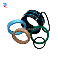 Ensemble de joints de pièces de rechange de pompe à béton Kit de joint de cylindre hydraulique Putzmeister Outrigger 088610001 087400005 251411008 086085007