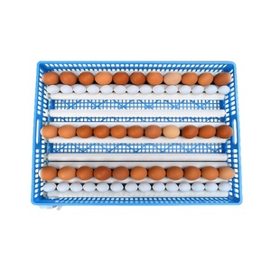 Vassoio Rotante Automatico per 100 Uova, Incubatrice con Vassoio Rotante per Uova di Gallina con Cestello Blu - Product Image 2