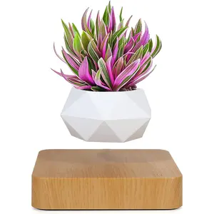 Custom magnetic levitating plant pot levitation floating plant for wholesale