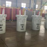 Transformateur de distribution monté sur pôle monophasé à noyau en alliage amorphe 25kva 37.5kva 167kva 500kva