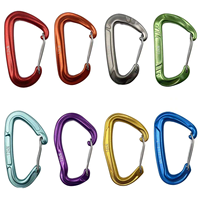 Mousqueton de sécurité professionnel en aluminium en forme de D, 22 kN, pour l'escalade, la montagne, équipement de sécurité robuste, karabiner