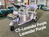 Kart à pédales tout-terrain électrique robuste 750W 48V 20Ah pour adultes, course en plein air et loisirs