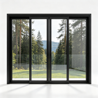 EU US Architekturgeeignete 70er Serie Stahl-Schiebefenster Doppelverglasung Isolierglas Akustische Leistung für Designer-Villen
