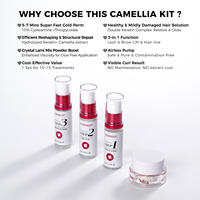 Kit de rehaussement de cils à la kératine coréenne et de lamination de sourcils au camélia, maquillage semi-permanent, résultat bouclé 90 jours, vente en gros