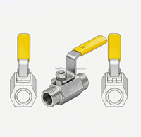 Vanne à boisseau sphérique manuelle en acier inoxydable, filetage interne DN8-DN50, usage industriel, gaz, huile, acide, joint PTFE, 800 PSI, OEM TapLink TV-1N1V