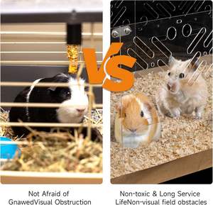 Akrilik kafes gine domuz kafesleri 4x2ft kobay domuzları için büyük Habitat tavşanlar uzay akrilik ihtiyacı olan küçük hayvanlar evcil hayvan kafesi - Product Image 4