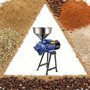 Máquina para Moler Salsa de Chile, Motor de 220V, Grosor Ajustable para la Elaboración de Pasta Picante, Tiendas de Condimentos, Capacidad de 60 kg/h - Product Image 1
