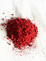 Oxyde de fer rouge 130 180 190 Y101 revêtement de peinture produits de ciment de sol en plastique Pigment rouge spécial