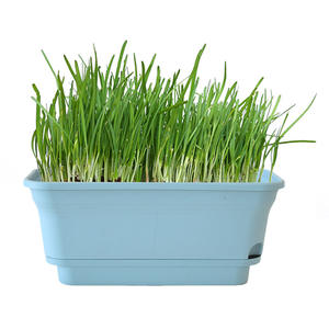 <span class=keywords><strong>Maceta</strong></span> de riego automático de doble capa SQ159, cuenco hidropónico <span class=keywords><strong>Rectangular</strong></span> de gran tamaño, macetas verdes para plantas - Product Image 3