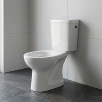 Vevor — papier hygiénique en céramique, toilette deux pièces, placard et toilette, prix bon marché, depuis l'usine directe indien