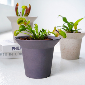 Pot de fleurs en céramique simple coréen, style nordique INS, écologique, respirant, avec trou de drainage, pour plantes d'intérieur et de jardin, Agave - Product Image 4