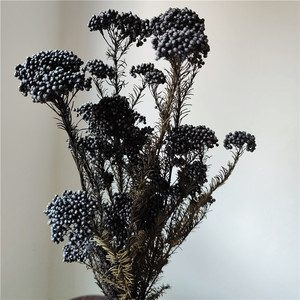 Nouveau Bouquet de Fleurs Séchées et Préservées Mini Fleur de Riz Effet Naturel Haute Qualité Tige Fraîche Décoration Éternelle pour la Maison - Product Image 5