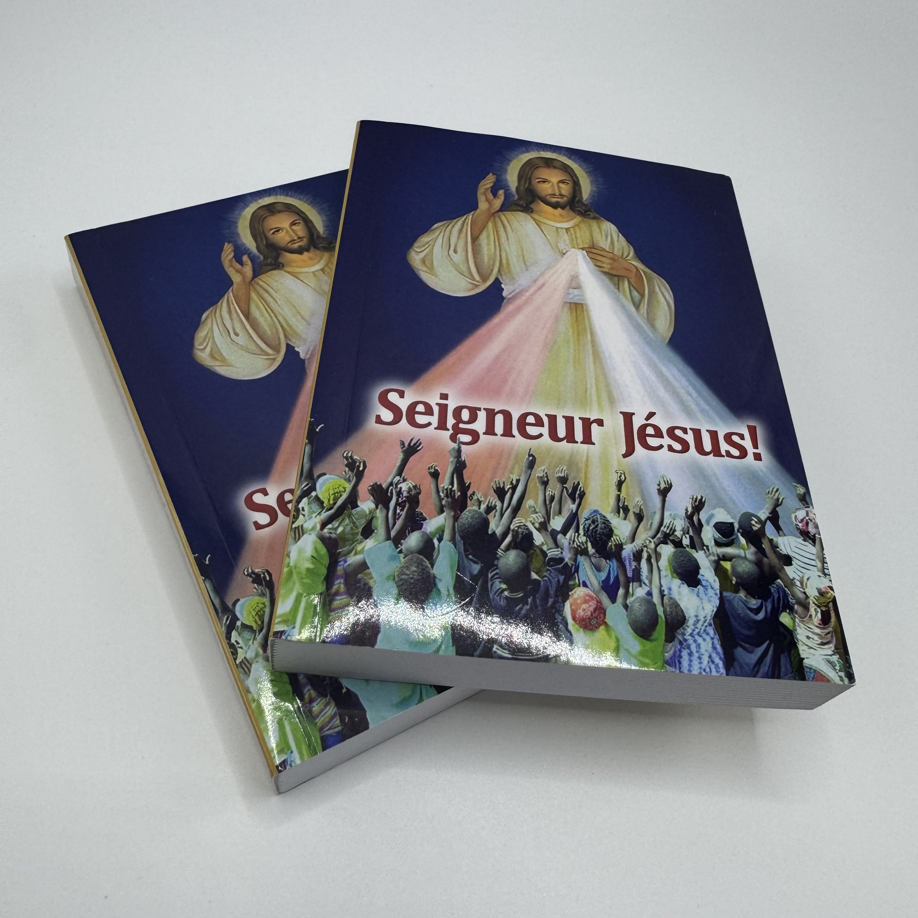 China Printing Service Hardcover Softcover Book Publishing Printing Literature Catalog Printing Livre De Impression