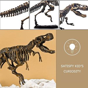 Kit de Excavación de Esqueleto de Dinosaurio 3D, Kit de Ciencia de Excavación de Fósiles de Dinosaurio, Kit de Excavación de Fósiles de Dinosaurio para Niños - Product Image 3
