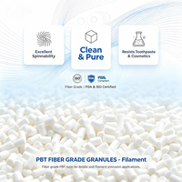 Granulés de PBT de qualité fibre, granulés de polybutylène téréphtalate de qualité filament pour poils de brosse et filaments de brosse à dents