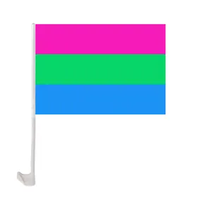 12x18 Inches Polyester Printing Custom Polysexuality Pride Flag Car Window Flag With Holder