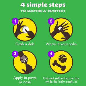 Crème <span class=keywords><strong>anti</strong></span>-<span class=keywords><strong>rides</strong></span> au miel de Manuka + sucette pour la peau au miel argenté + baume pour les pattes et le nez Bulldog traitement des points chauds élimination des démangeaisons hydratantes - Product Image 4