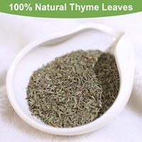 Thé détoxifiant sans caféine pour le soutien pulmonaire avec feuille de molène, ginseng, sureau, gingembre, thym - Sachet de thé naturel pour des poumons clairs