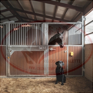 リードホットディップ亜鉛メッキ高級屋外または屋内馬安定竹と引き戸 - Product Image 6